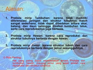 Alasan:
1. Protista mirip Tumbuhan: karena tidak memiliki
diferensiasi jaringan dan struktur tubuhnya masih
sangat sederhana, tidak dapat dibedakan antara akar,
batang, dan daun sehingga disebut tumbuhan talus,
serta cara reproduksinya juga berbeda.
2. Protista mirip Hewan: karena cara reproduksi dan
struktur tubuhnya berbeda dengan hewan.
3. Protista mirip Jamur: karena struktur tubuh dan cara
reproduksinya berbeda dengan jamur sesungguhnya.
 Poin Penting:
Hal yang paling dapat membedakan antara Protista dan
tumbuhan, hewan, maupun jamur yang sejati adalah cara
reproduksi dan struktur tubuhnya.
 