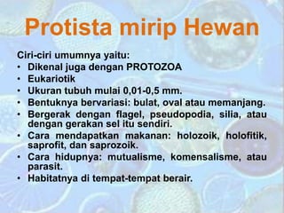 Protista mirip Hewan
Ciri-ciri umumnya yaitu:
• Dikenal juga dengan PROTOZOA
• Eukariotik
• Ukuran tubuh mulai 0,01-0,5 mm.
• Bentuknya bervariasi: bulat, oval atau memanjang.
• Bergerak dengan flagel, pseudopodia, silia, atau
dengan gerakan sel itu sendiri.
• Cara mendapatkan makanan: holozoik, holofitik,
saprofit, dan saprozoik.
• Cara hidupnya: mutualisme, komensalisme, atau
parasit.
• Habitatnya di tempat-tempat berair.
 