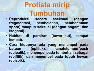 Protista mirip
Tumbuhan
• Reproduksi secara aseksual (dengan
fragmentasi, pembelahan, pembentukan
spora) maupun seksual (dengan oogami dan
isogami).
• Habitat di perairan (tawar-laut), tempat
lembab.
• Cara hidupnya ada yang menempel pada
batuan (epilitik), tanah/lumpur/pasir
(epipalik), menempel pada tumbuhan sebagai
(epifitik), dan menempel pada tubuh hewan
(epizoik).
 