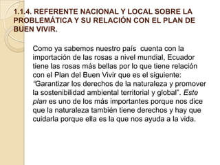 1.1.4. REFERENTE NACIONAL Y LOCAL SOBRE LA
PROBLEMÁTICA Y SU RELACIÓN CON EL PLAN DE
BUEN VIVIR.
Como ya sabemos nuestro país cuenta con la
importación de las rosas a nivel mundial, Ecuador
tiene las rosas más bellas por lo que tiene relación
con el Plan del Buen Vivir que es el siguiente:
“Garantizar los derechos de la naturaleza y promover
la sostenibilidad ambiental territorial y global”. Este
plan es uno de los más importantes porque nos dice
que la naturaleza también tiene derechos y hay que
cuidarla porque ella es la que nos ayuda a la vida.

 