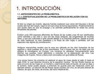 1. INTRODUCCIÓN.
1.1. ANTECEDENTES DE LA PROBLEMÁTICA.
1.1.1. CONTEXTUALIZACIÓN DE LA PROBLEMÁTICA EN RELACIÓN CON SU
HISTORIA.
Si bien su origen es incierto, algunas fuentes sostienen que viene del Cáucaso o de las
costas del mar del Caspio, lugar en el cual crece de forma espontánea. Posteriormente lo
que queda claro es que se propagó y se aclimató perfectamente en todas las zonas
templadas del planeta.
Existen unas 250 especies diferentes de Rosas de las cuales unas 30 son clasificadas
como odoratas y tan solo 3, que son las rosas antiguas, las progenitoras de muchas
otras, y que son cultivadas a gran escala debido a su exquisito perfume. Desde el punto
de vista medicinal, la rosa castellana y la Rosa de cien hojas o centifolia, son las
especies más dignas de consideración.
Antiguos manuscritos revelan que la rosa era utilizada en los ritos funerarios de los
egipcios y otros pueblos de la era precristiana. Fue a través del sur de Italia que los
griegos la introdujeron en Europa. Los romanos la utilizaban frecuentemente para
adornar sus puertas, hacer alfombras o incluirlas en la elaboración del vino. Las
imágenes de Cupido, Venus y Baco eran coronadas con guirnaldas de Rosas.
Los turcos fueron los primeros en elaborar el agua de rosas desde el siglo X hasta el
siglo XVIII, lo cual describe Avicena de la siguiente manera: “De las Rosas frescas se
saca el zumo de las hojas en un mortero y exprimiendo todo el líquido: el cual se deja a
la sombra, hasta queda espeso y entonces se guarda para las medicinas como por
ejemplo colirios. La solución de las Rosas secas cocidas con vino, es útil para dolores de
cabeza, de ojos, de oídos, de encías, del recto intestinal etc.

 
