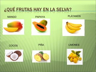 MANGO PAPAYA PLÁTANOS
COCOS PIÑA LIMONES
 