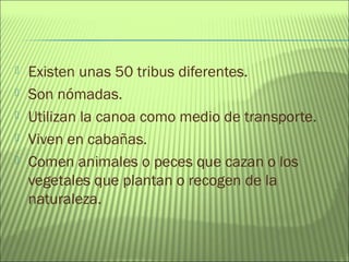  Existen unas 50 tribus diferentes.
 Son nómadas.
 Utilizan la canoa como medio de transporte.
 Viven en cabañas.
 Comen animales o peces que cazan o los
vegetales que plantan o recogen de la
naturaleza.
 