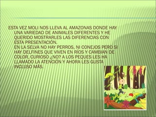 ESTA VEZ MOLI NOS LLEVA AL AMAZONAS DONDE HAY
UNA VARIEDAD DE ANIMALES DIFERENTES Y HE
QUERIDO MOSTRARLES LAS DIFERENCIAS CON
ESTA PRESENTACIÓN.
EN LA SELVA NO HAY PERROS, NI CONEJOS PERO SI
HAY DELFINES QUE VIVEN EN RÍOS Y CAMBIAN DE
COLOR, CURIOSO ¿NO? A LOS PEQUES LES HA
LLAMADO LA ATENCIÓN Y AHORA LES GUSTA 
INCLUSO MÁS.
 