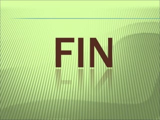 Proyecto La selva amazónica