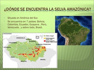  Situada en América del Sur.
 Se encuentra en 7 países: Bolivia,
Colombia, Ecuador, Guayana , Perú,
Venezuela , y sobre todo, Brasil.
 