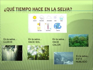 En la selva...
LLUEVE
En la selva...
HACE SOL
En la selva...
HACE
CALOR
En la selva...
ESTÁ
NUBLADO
 