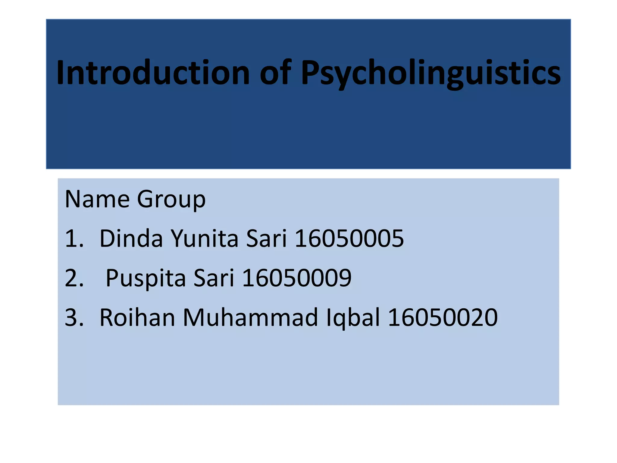 ppt psycholinguistic.pptx
