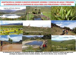 Lagunas artificiales (Qochas)
Protección de manantes
con cercos
Plantas llamadoras de agua
Putaka
Bofedales
Manejo de pastizales naturales
Zanjas de infiltración
Pequeñas represas (atajaditos) Microreservorios “Estancos”
Desarrollo forestal
VII SEMINARIO DE SIEMBRA Y COSECHA DE AGUA. SIERRA AZUL. Huancavelica. Siembra y cosecha de agua como
estrategia de adaptación frente al cambio climático. José Ramiro Benites Jump. Consultor FAO
ADAPTACION AL CAMBIO CLIMATICO MEDIANTE SIEMBRA Y COSECHA DE AGUA Y PREVENIR
LA DISMINUCION DE LA CANTIDAD DE AGUA PARA USO POBLACIONAL Y OTROS USOS.
 
