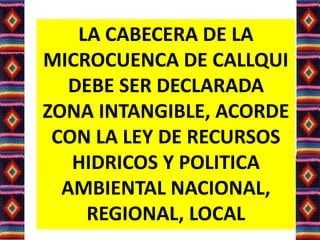 LA CABECERA DE LA
MICROCUENCA DE CALLQUI
DEBE SER DECLARADA
ZONA INTANGIBLE, ACORDE
CON LA LEY DE RECURSOS
HIDRICOS Y POLITICA
AMBIENTAL NACIONAL,
REGIONAL, LOCAL
 