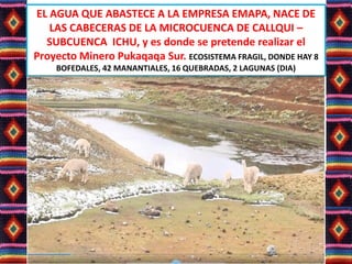 EL AGUA QUE ABASTECE A LA EMPRESA EMAPA, NACE DE
LAS CABECERAS DE LA MICROCUENCA DE CALLQUI –
SUBCUENCA ICHU, y es donde se pretende realizar el
Proyecto Minero Pukaqaqa Sur. ECOSISTEMA FRAGIL, DONDE HAY 8
BOFEDALES, 42 MANANTIALES, 16 QUEBRADAS, 2 LAGUNAS (DIA)
Lic. Elsa Benavente Salazar
 