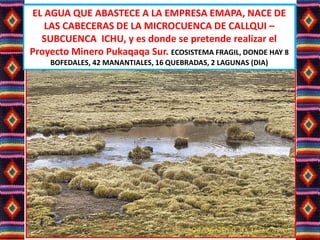 EL AGUA QUE ABASTECE A LA EMPRESA EMAPA, NACE DE
LAS CABECERAS DE LA MICROCUENCA DE CALLQUI –
SUBCUENCA ICHU, y es donde se pretende realizar el
Proyecto Minero Pukaqaqa Sur. ECOSISTEMA FRAGIL, DONDE HAY 8
BOFEDALES, 42 MANANTIALES, 16 QUEBRADAS, 2 LAGUNAS (DIA)
EL AGUA QUE ABASTECE A LA EMPRESA EMAPA, NACE DE
LAS CABECERAS DE LA MICROCUENCA DE CALLQUI –
SUBCUENCA ICHU, y es donde se pretende realizar el
Proyecto Minero Pukaqaqa Sur. ECOSISTEMA FRAGIL, DONDE HAY 8
BOFEDALES, 42 MANANTIALES, 16 QUEBRADAS, 2 LAGUNAS (DIA)
 