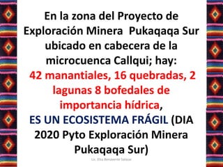 En la zona del Proyecto de
Exploración Minera Pukaqaqa Sur
ubicado en cabecera de la
microcuenca Callqui; hay:
42 manantiales, 16 quebradas, 2
lagunas 8 bofedales de
importancia hídrica,
ES UN ECOSISTEMA FRÁGIL (DIA
2020 Pyto Exploración Minera
Pukaqaqa Sur)
Lic. Elsa Benavente Salazar
 