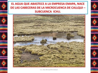 EL AGUA QUE ABASTECE A LA EMPRESA EMAPA, NACE
DE LAS CABECERAS DE LA MICROCUENCA DE CALLQUI –
SUBCUENCA ICHU.
Lic. Elsa Benavente Salazar
 