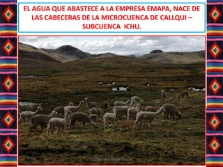 EL AGUA QUE ABASTECE A LA EMPRESA EMAPA, NACE DE
LAS CABECERAS DE LA MICROCUENCA DE CALLQUI –
SUBCUENCA ICHU.
Lic. Elsa Benavente Salazar
 