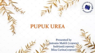 PUPUK UREA
Presented by
Antonio Mafeli (119001)
Indriani(119009)
Miza Carina(119010)
 