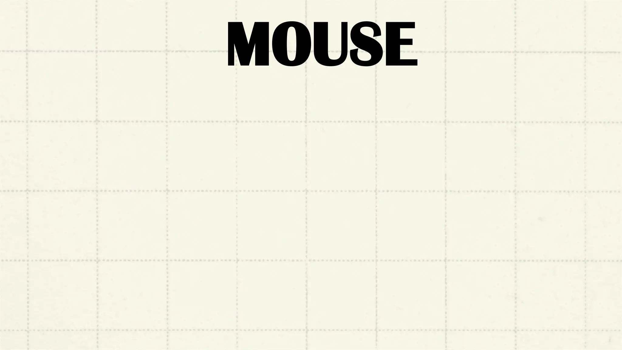 MOUSE
 