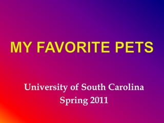 My favorite pets University of South Carolina Spring 2011 
