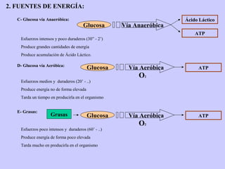 2. FUENTES DE ENERGÍA:

   C- Glucosa vía Anaeróbica:                                         Ácido Láctico
              ...