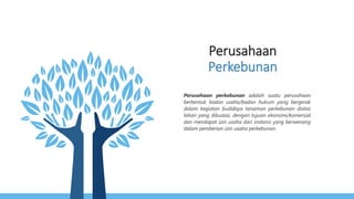 Perusahaan
Perkebunan
Perusahaan perkebunan adalah suatu perusahaan
berbentuk badan usaha/badan hukum yang bergerak
dalam kegiatan budidaya tanaman perkebunan diatas
lahan yang dikuasai, dengan tujuan ekonomi/komersial
dan mendapat izin usaha dari instansi yang berwenang
dalam pemberian izin usaha perkebunan.
 