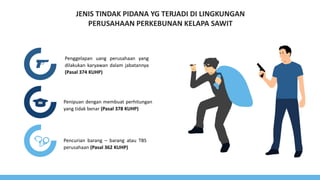 JENIS TINDAK PIDANA YG TERJADI DI LINGKUNGAN
PERUSAHAAN PERKEBUNAN KELAPA SAWIT
Penggelapan uang perusahaan yang
dilakukan karyawan dalam jabatannya
(Pasal 374 KUHP)
Penipuan dengan membuat perhitungan
yang tidak benar (Pasal 378 KUHP)
Pencurian barang – barang atau TBS
perusahaan (Pasal 362 KUHP)
 