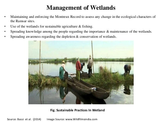 Presentation on Ramsar sites & their conservation in India