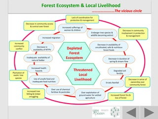 An Affiliate of the Aga Khan Development Network
Forest Ecosystem & Local Livelihood
……………………The vicious circle
Use of unsafe food and
inadequate food nutrition
Erratic Rainfall
Over exploitation of
ground water for settled
agriculture
Degraded soil
fertility
Over use of chemical
fertilizer & pesticides
Increased migration
Increased health
hazards
Decrease in duration of
spring & stream flow
Endanger tree species &
wildlife becoming extinct
Decrease in availability of
uncultivated, safe & nutritious
forest foods
Depleted
Forest
Ecosystem
Increased sufferings of
women & children
Inadequate availability of
natural fodder
Decrease in community access
& control over forest
Decrease in sense of
ownership over
community forest
Increased
community
conflict
Increased forest fire &
loss of forest
Increased tree
felling & timber
smuggling
Plantation of
exotic tree
species
Decrease in community
involvement in protection
& management
Lack of coordination for
protection & management
Decrease in
availability of NTFPs
Threatened
Local
Livelihood
 