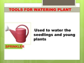 TOOLS FOR WATERING PLANT
SPRINKLER
-Used to water the
seedlings and young
plants
 