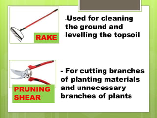 -Used for cleaning
the ground and
levelling the topsoil
- For cutting branches
of planting materials
and unnecessary
branches of plants
RAKE
PRUNING
SHEAR
 