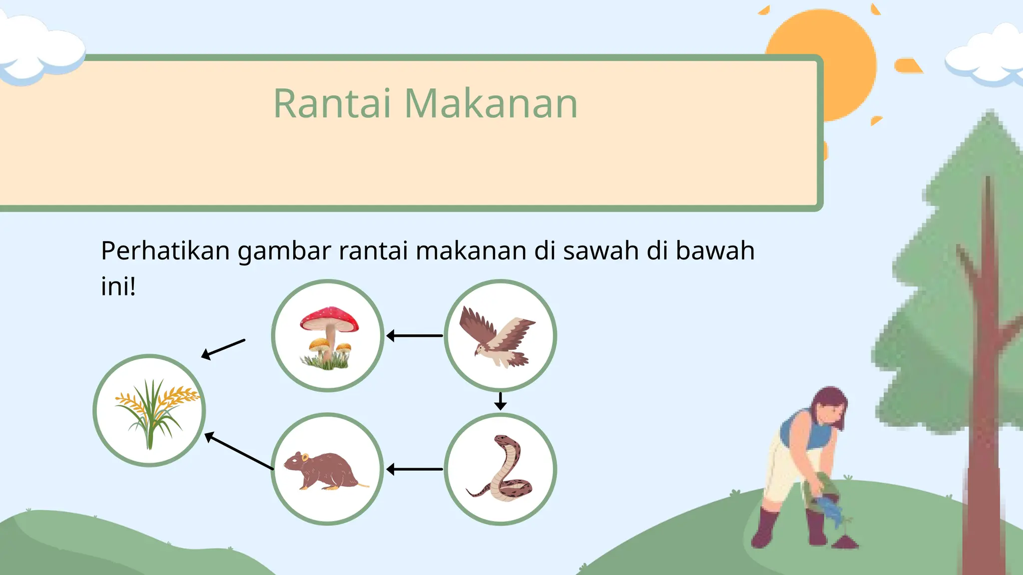 materi rantai makanan mata pelajaran ipa | PPTX