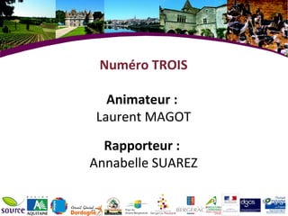 Numéro TROIS Animateur :  Laurent MAGOT Rapporteur :  Annabelle SUAREZ 