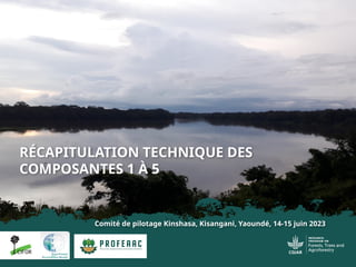 thumbnail of  Récapitulation technique des composantes 1 à 5