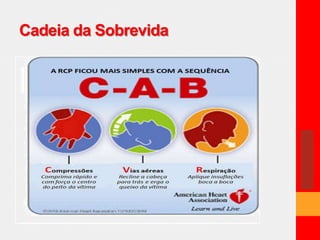 Cadeia da Sobrevida 
 