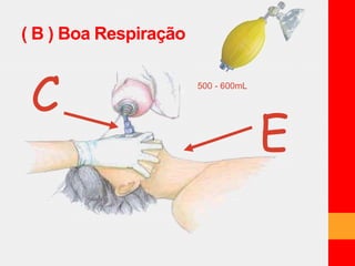 ( B ) Boa Respiração 
C 
E 
500 - 600mL 
 
