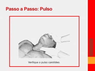 Passo a Passo: Pulso 
 