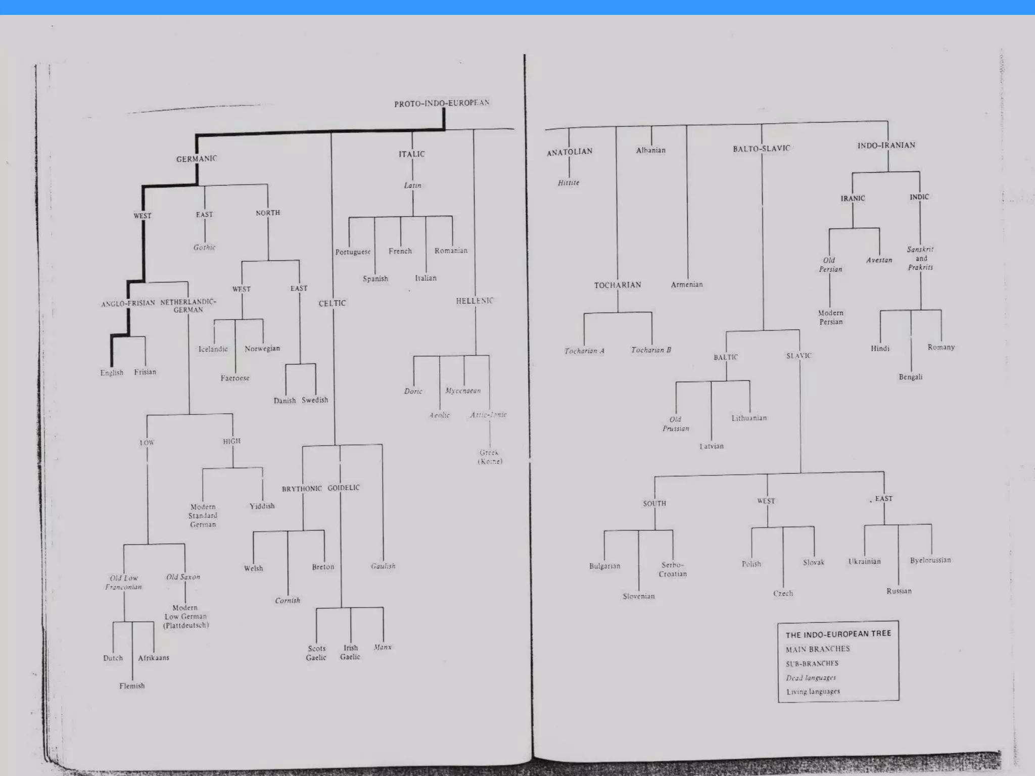 Hanadi Mirza hanadym@hotmail.com
 