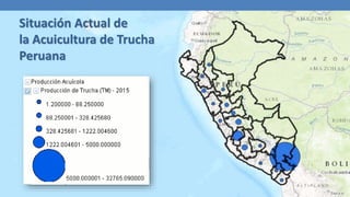 Situación Actual de
la Acuicultura de Trucha
Peruana
 