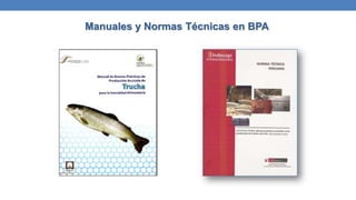 Manuales y Normas Técnicas en BPA
 