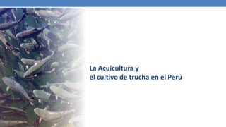 La Acuicultura y
el cultivo de trucha en el Perú
 