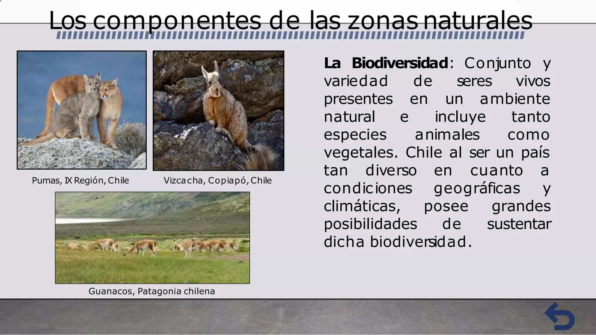 zonas naturales de Chile | PPT