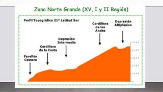 zonas naturales de Chile | PPTX