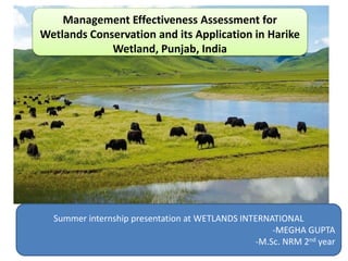 1
Management Effectiveness Assessment for
Wetlands Conservation and its Application in Harike
Wetland, Punjab, India
Summer internship presentation at WETLANDS INTERNATIONAL
-MEGHA GUPTA
-M.Sc. NRM 2nd year
 