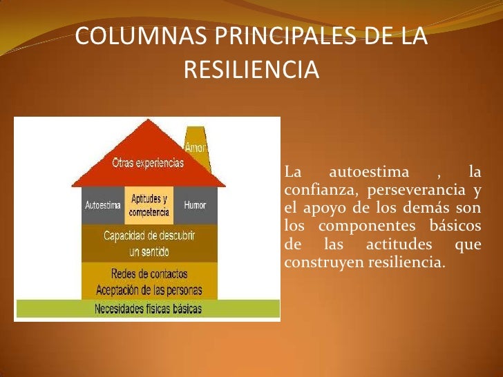 Ppt resiliencia