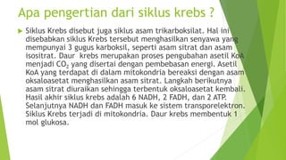 Apa pengertian dari siklus krebs ?
 Siklus Krebs disebut juga siklus asam trikarboksilat. Hal ini
disebabkan siklus Krebs tersebut menghasilkan senyawa yang
mempunyai 3 gugus karboksil, seperti asam sitrat dan asam
isositrat. Daur krebs merupakan proses pengubahan asetil KoA
menjadi CO2 yang disertai dengan pembebasan energi. Asetil
KoA yang terdapat di dalam mitokondria bereaksi dengan asam
oksaloasetat menghasilkan asam sitrat. Langkah berikutnya
asam sitrat diuraikan sehingga terbentuk oksaloasetat kembali.
Hasil akhir siklus krebs adalah 6 NADH, 2 FADH, dan 2 ATP.
Selanjutnya NADH dan FADH masuk ke sistem transporelektron.
Siklus Krebs terjadi di mitokondria. Daur krebs membentuk 1
mol glukosa.
 