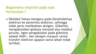 Bagaimana respirasi pada saat
fermentasi ?
 Oksidasi hanya mengacu pada berpindahnya
elektron ke penerima elektron, sehingga
tidak perlu melibatkan oksigen. Glikolisis
mengoksiodasi glukosa menjadi dua molekul
piruvat. Agen pengoksidasi pada glikolisis
adalah NAD+, dan oksigen maupun rantai
transfer elektron apapun sama sekali tidak
terlibat.
 