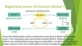 Bagaimana proses fermentasi alkohol ?
 Fermentasi alkohol pada awalnya terjadi karena asam piruvat diubah menjadi asam
asetat + CO2 selanjutaya asam asetat diabah menjadi alkohol. Dalam fermentasi
alkohol, satu molekul glukosa hanya dapat menghasilkan 2 molekul ATP, bandingkan
dengan respirasi aerob, satu molekul glukosa mampu menghasilkan 38 molekul ATP.
 