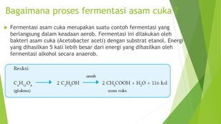 Bagaimana proses fermentasi asam cuka ?
 Fermentasi asam cuka merupakan suatu contoh fermentasi yang
berlangsung dalam keadaan aerob. Fermentasi ini dilakukan oleh
bakteri asam cuka (Acetobacter aceti) dengan substrat etanol. Energi
yang dihasilkan 5 kali lebih besar dari energi yang dihasilkan oleh
fermentasi alkohol secara anaerob.
 