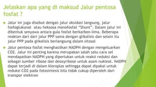 Jelaskan apa yang di maksud Jalur pentosa
fosfat ?
 Jalur ini juga disebut dengan jalur oksidasi langsung, jalur
fosfoglukunat atau heksosa monofosfat “Shunt”. Dalam jalur ini
dibentuk senyawa antara gula fosfat berkarbon-lima. Beberapa
reaktan dari dari jalur PPP sama dengan glikolisis dan selain itu
jalur PPP pada glikolisis berlangsung dalam sitosol
 Jalur pentosa fosfat menghasilkan NADPH dengan mengeluarkan
CO2. Jalur ini penting karena merupakan salah satu cara sel
mendapatkan NADPH yang diperlukan untuk reaksi reduksi dan
sebagai sumber ribose dan deoxyribose untuk asam nukleat. NADPH
dapat terjadi di dalam kloroplas sehingga dapat dipakai untuk
reduksi CO2 pada fotosintesis bila tidak cukup diperoleh dari
transpor elektron
 