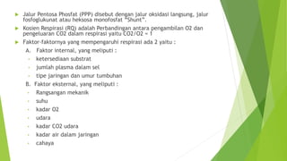  Jalur Pentosa Phosfat (PPP) disebut dengan jalur oksidasi langsung, jalur
fosfoglukunat atau heksosa monofosfat “Shunt”.
 Kosien Respirasi (RQ) adalah Perbandingan antara pengambilan O2 dan
pengeluaran CO2 dalam respirasi yaitu CO2/O2 = 1
 Faktor-faktornya yang mempengaruhi respirasi ada 2 yaitu :
A. Faktor internal, yang meliputi :
• ketersediaan substrat
• jumlah plasma dalam sel
• tipe jaringan dan umur tumbuhan
B. Faktor eksternal, yang meliputi :
• Rangsangan mekanik
• suhu
• kadar O2
• udara
• kadar CO2 udara
• kadar air dalam jaringan
• cahaya
 