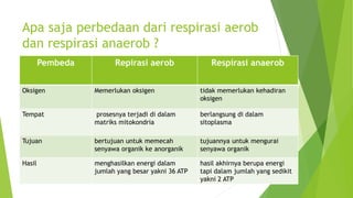 Apa saja perbedaan dari respirasi aerob
dan respirasi anaerob ?
Pembeda Repirasi aerob Respirasi anaerob
Oksigen Memerlukan oksigen tidak memerlukan kehadiran
oksigen
Tempat prosesnya terjadi di dalam
matriks mitokondria
berlangsung di dalam
sitoplasma
Tujuan bertujuan untuk memecah
senyawa organik ke anorganik
tujuannya untuk mengurai
senyawa organik
Hasil menghasilkan energi dalam
jumlah yang besar yakni 36 ATP
hasil akhirnya berupa energi
tapi dalam jumlah yang sedikit
yakni 2 ATP
 